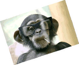 Gif: Chimp